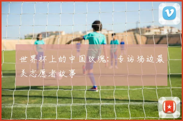 世界杯上的中国玫瑰：专访场边最美志愿者故事