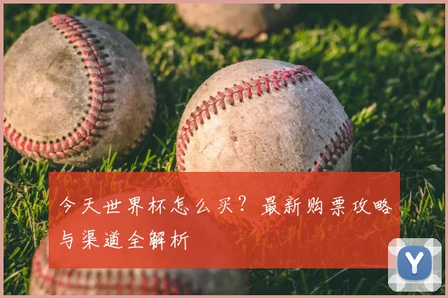 今天世界杯怎么买？最新购票攻略与渠道全解析