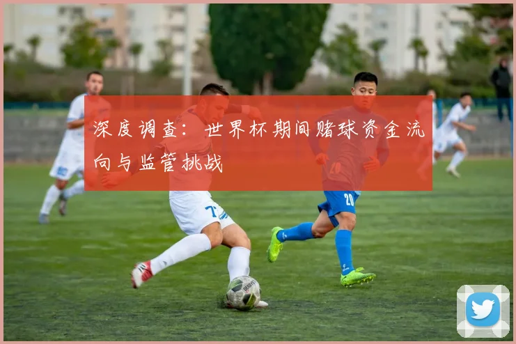 深度调查：世界杯期间赌球资金流向与监管挑战