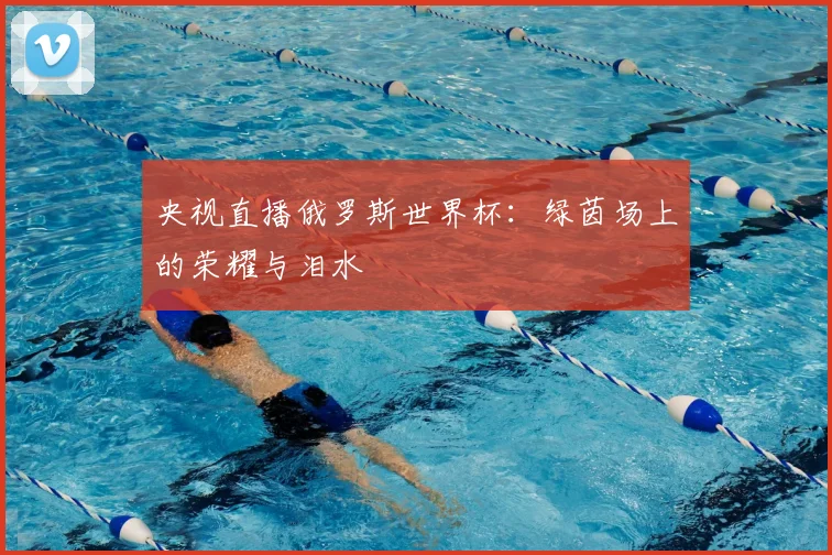 央视直播俄罗斯世界杯:绿茵场上的荣耀与泪水