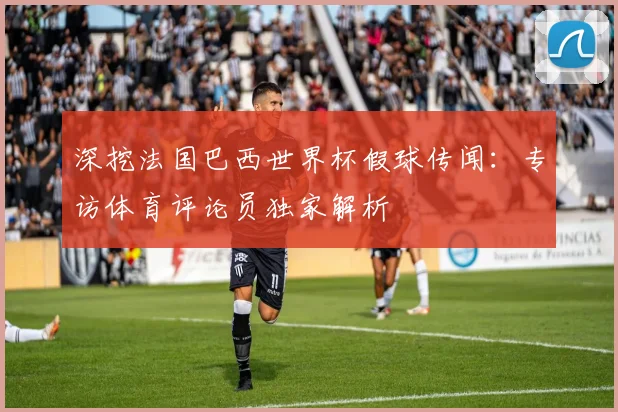 深挖法国巴西世界杯假球传闻：专访体育评论员独家解析