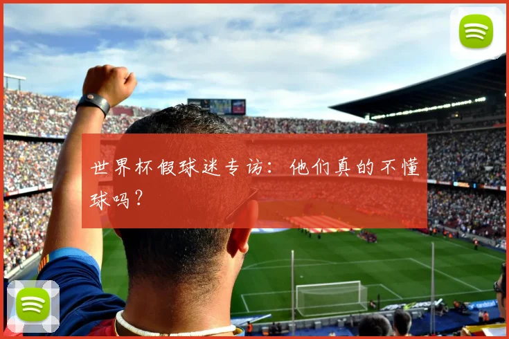 世界杯假球迷专访:他们真的不懂球吗?