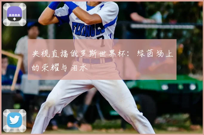 央视直播俄罗斯世界杯：绿茵场上的荣耀与泪水
