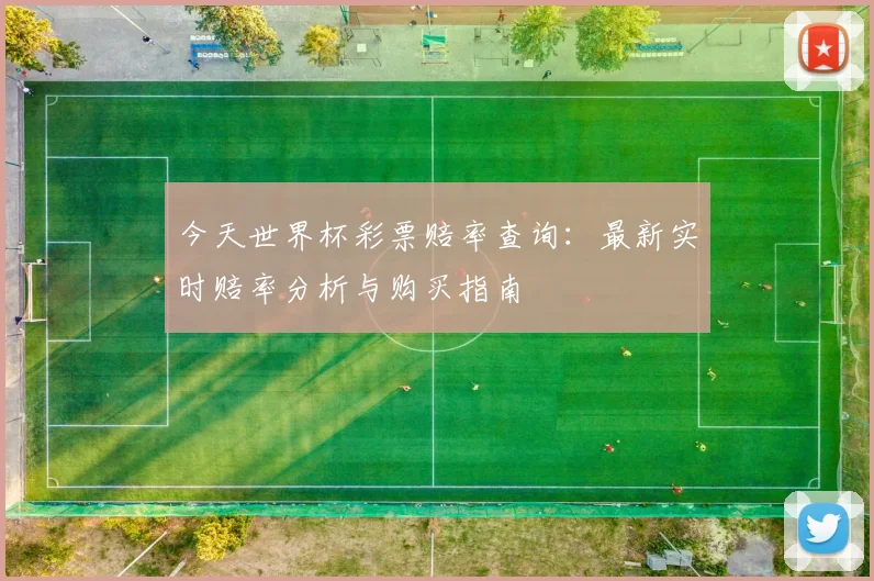 今天世界杯彩票赔率查询：最新实时赔率分析与购买指南