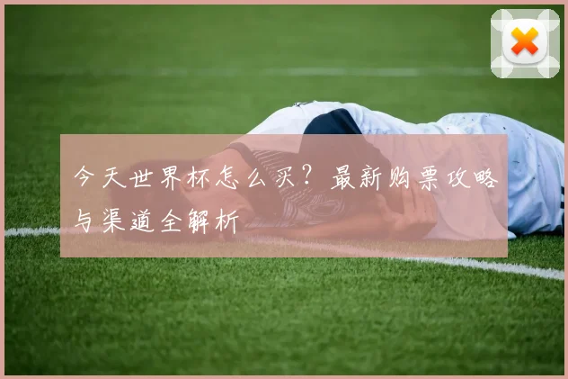 今天世界杯怎么买？最新购票攻略与渠道全解析